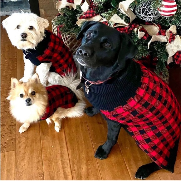 NWT Buffalo Red Black Plaid Pet Knit Dog Sweater Med 12” Length 100% Acrylic - Picture 6 of 7